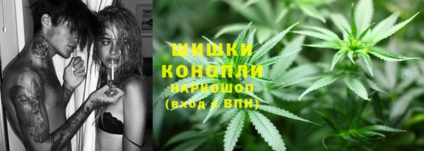 mdpv Новозыбков