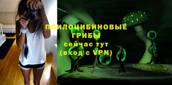 mdpv Новозыбков