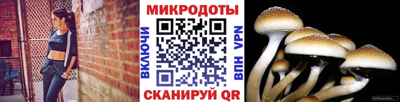 Купить закладки  Сердобск  Галлюциногенные грибы GOLDEN TEACHER 